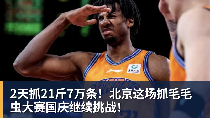 2天抓21斤7万条！北京这场抓毛毛虫大赛国庆继续挑战！